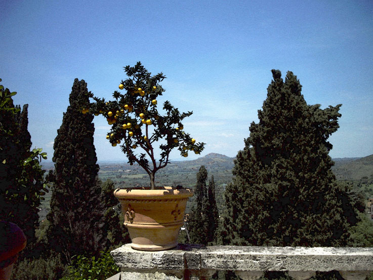 05-0050